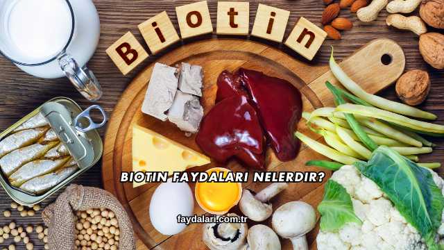 Biotin Faydaları Nelerdir?