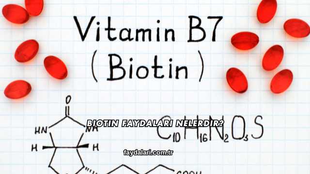 Biotin Faydaları Nelerdir?