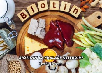 Biotinin Faydaları Nelerdir?