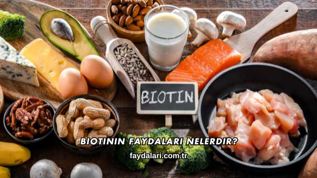Biotinin Faydaları Nelerdir?