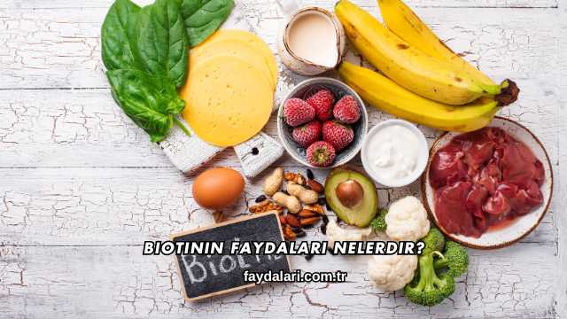 Biotinin Faydaları Nelerdir