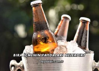 Bira İçmenin Faydaları Nelerdir?