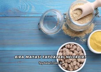 Bira Mayası Faydaları Nelerdir?