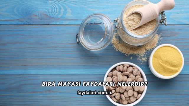 Bira Mayası Faydaları Nelerdir?
