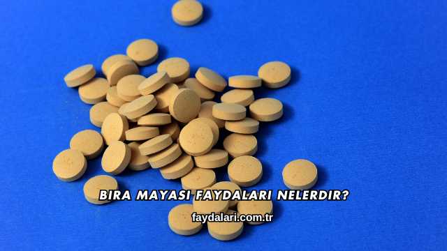 Bira Mayası Faydaları Nelerdir?