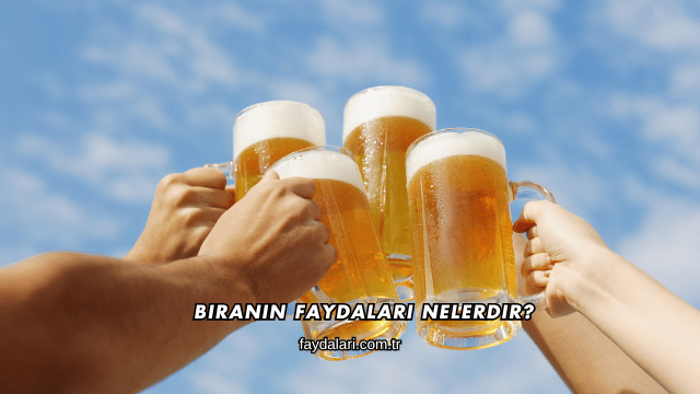 Biranın Faydaları Nelerdir?