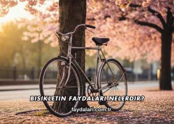 Bisikletin Faydaları Nelerdir?