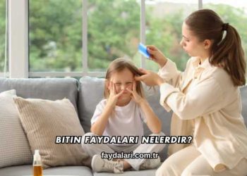 Bitin Faydaları Nelerdir?
