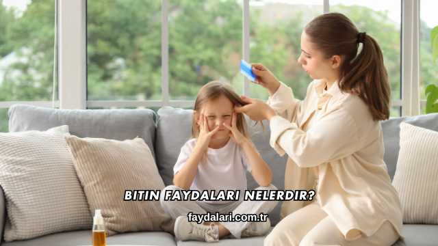 Bitin Faydaları Nelerdir?