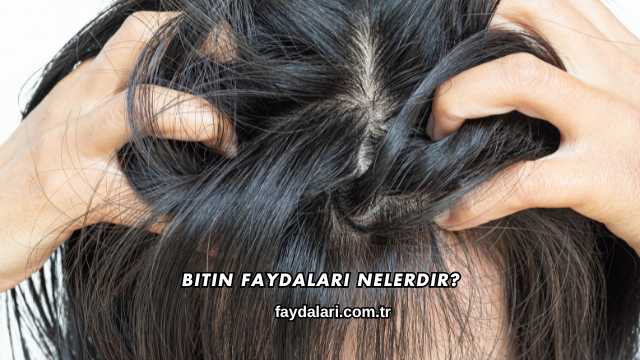 Bitin Faydaları Nelerdir?
