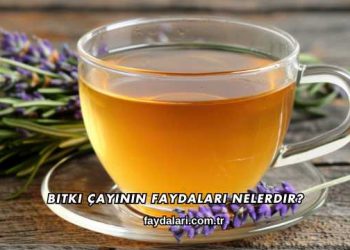 Bitki Çayının Faydaları Nelerdir?
