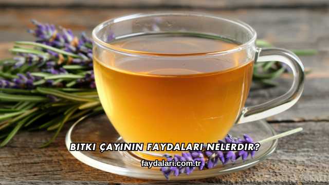 Bitki Çayının Faydaları Nelerdir?