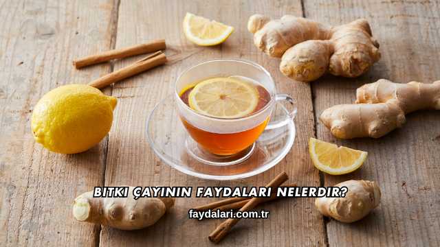 Bitki Çayının Faydaları Nelerdir?