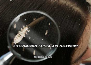 Bitlenmenin Faydaları Nelerdir?