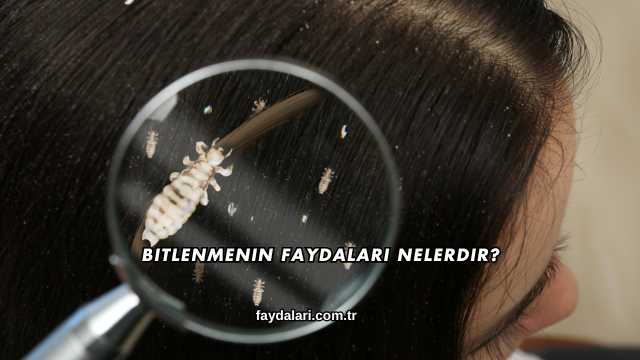 Bitlenmenin Faydaları Nelerdir?