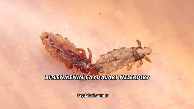 Bitlenmenin Faydaları Nelerdir?