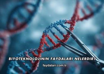 Biyoteknolojinin Faydaları Nelerdir?