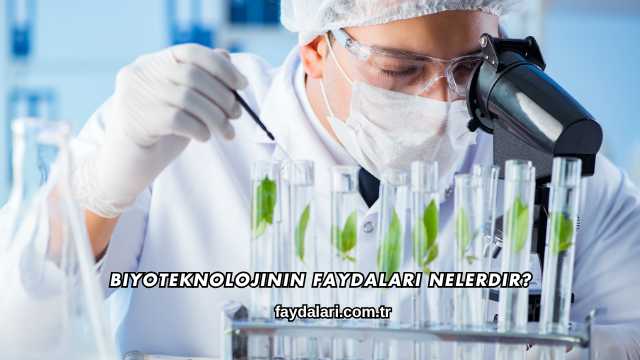 Biyoteknolojinin Faydaları Nelerdir?