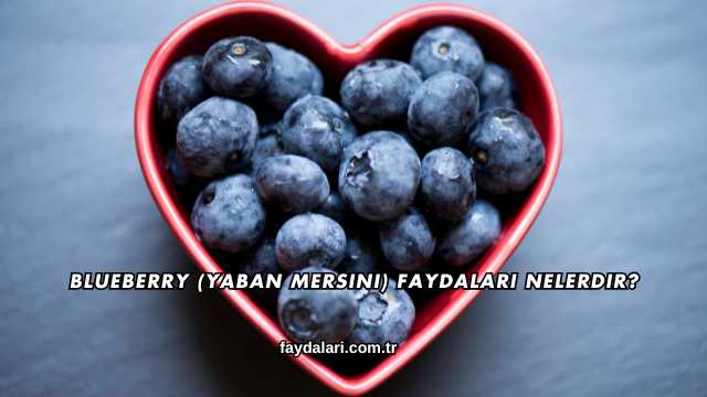 Blueberry (Yaban Mersini) Faydaları Nelerdir?