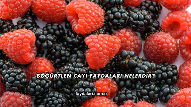 Böğürtlen Çayı Faydaları Nelerdir?