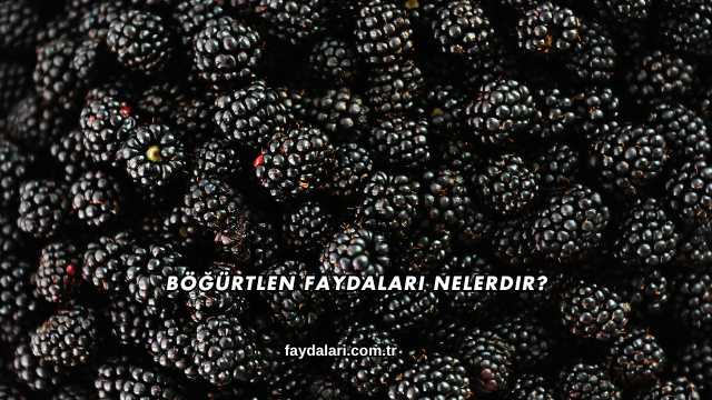 Böğürtlen Faydaları Nelerdir?
