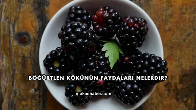 Böğürtlen Kökünün Faydaları Nelerdir?