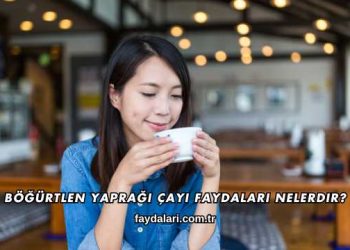 Böğürtlen Yaprağı Çayı Faydaları Nelerdir?