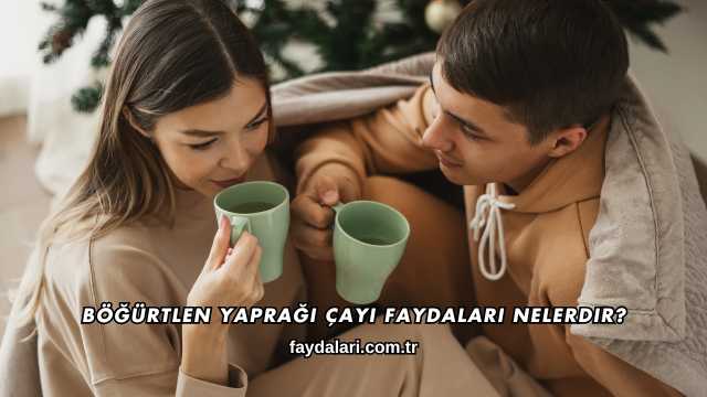 Böğürtlen Yaprağı Çayı Faydaları Nelerdir?