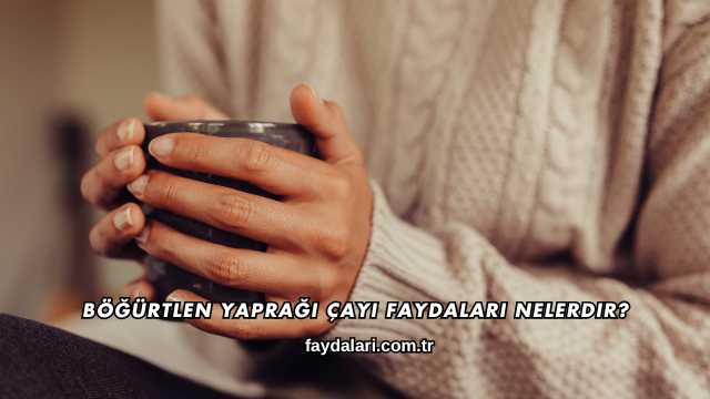 Böğürtlen Yaprağı Çayı Faydaları Nelerdir?
