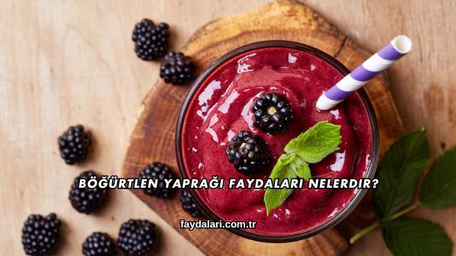 Böğürtlen Yaprağı Faydaları Nelerdir?