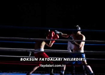 Boksun Faydaları Nelerdir?