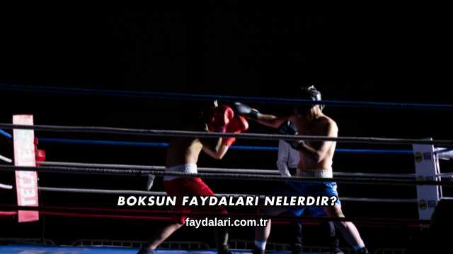 Boksun Faydaları Nelerdir?