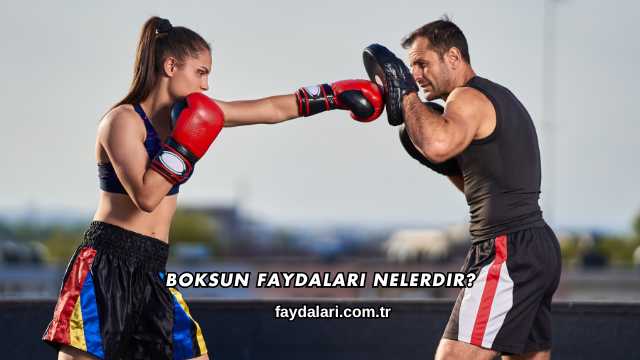 Boksun Faydaları Nelerdir?