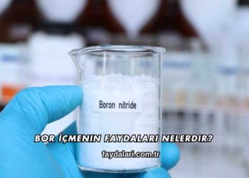 Bor İçmenin Faydaları Nelerdir?