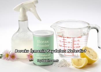 Boraks İçmenin Faydaları Nelerdir?