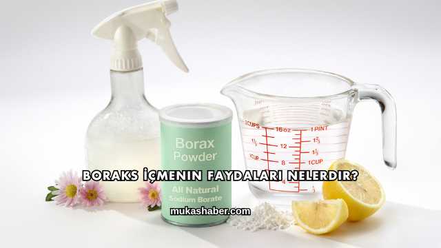Boraks İçmenin Faydaları Nelerdir?