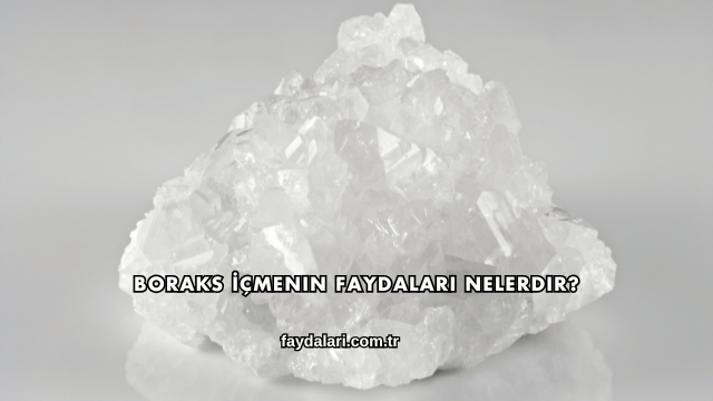 Boraks İçmenin Faydaları Nelerdir?