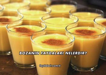 Bozanın Faydaları Nelerdir?