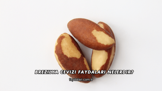 Brezilya Cevizi Faydaları Nelerdir?
