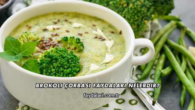 Brokoli Çorbası Faydaları Nelerdir?