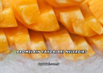 Bromelain Faydaları Nelerdir?