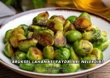 Brüksel Lahanası Faydaları Nelerdir?