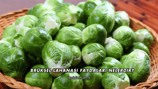 Brüksel Lahanası Faydaları Nelerdir?