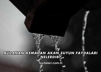 Budanan Asmadan Akan Suyun Faydaları Nelerdir?