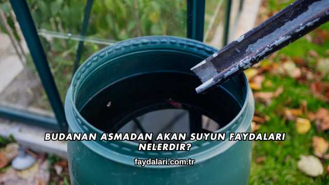 Budanan Asmadan Akan Suyun Faydaları Nelerdir?