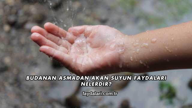 Budanan Asmadan Akan Suyun Faydaları Nelerdir?