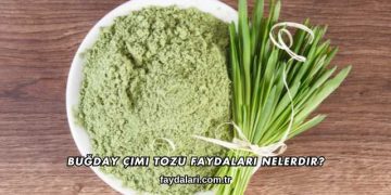 Buğday Çimi Tozu Faydaları Nelerdir?