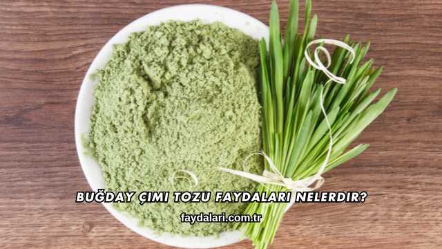 Buğday Çimi Tozu Faydaları Nelerdir?
