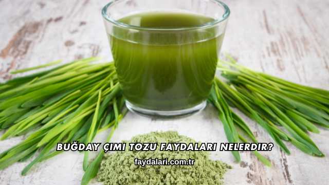 Buğday Çimi Tozu Faydaları Nelerdir?