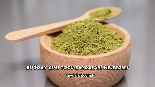 Buğday Çimi Tozu Faydaları Nelerdir?